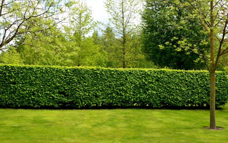 Completed Hedge with Uniform Shape
