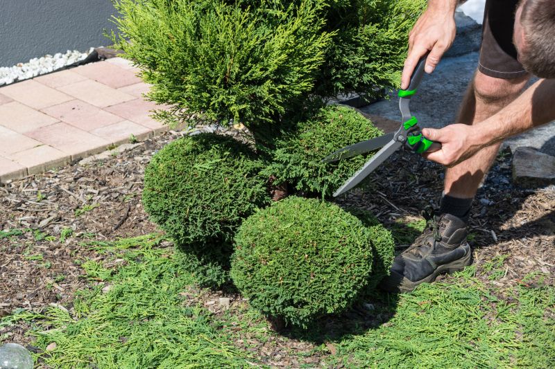 Healthy, Trimmed Shrubs