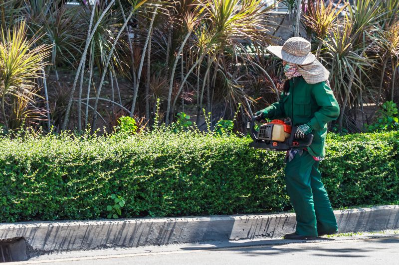Trimming a Tall Shrub