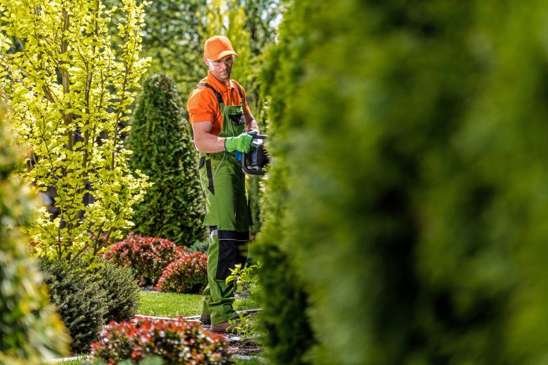 Seasonal Shrub Maintenance