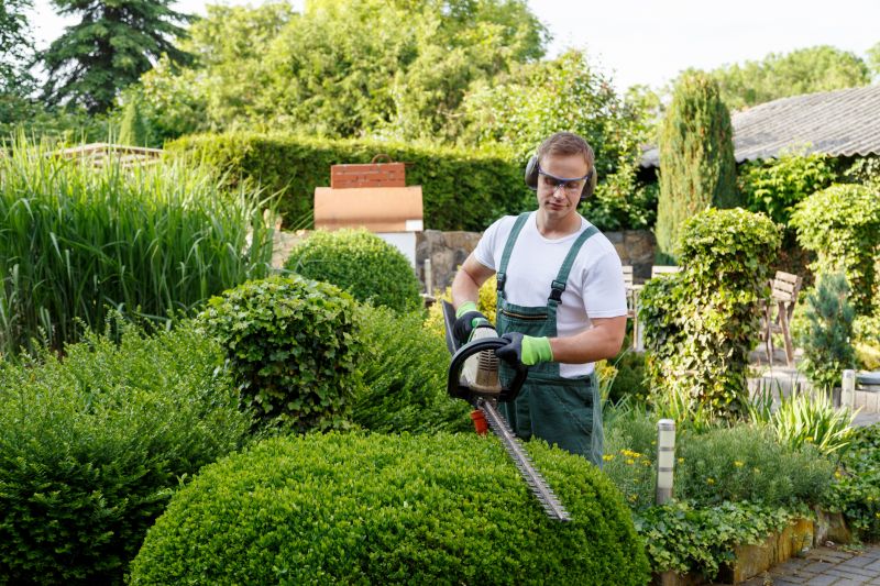 Hedge Maintenance Plans