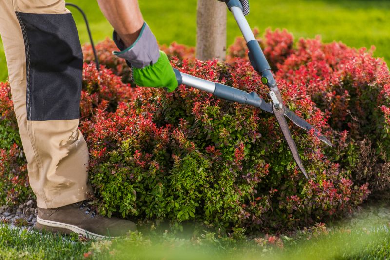 Hedge Shearing Service