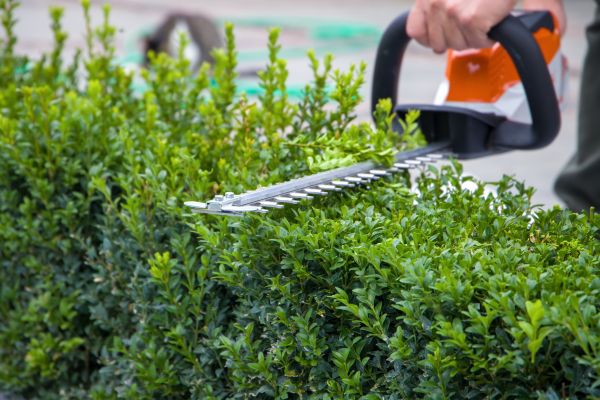 Grow your Hedge Shearing business